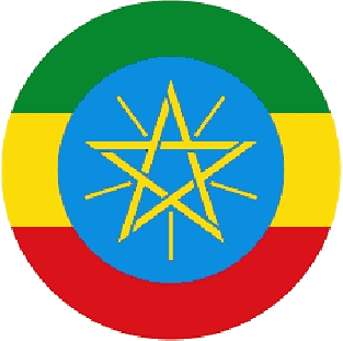 Ethiopian Air Force roundel